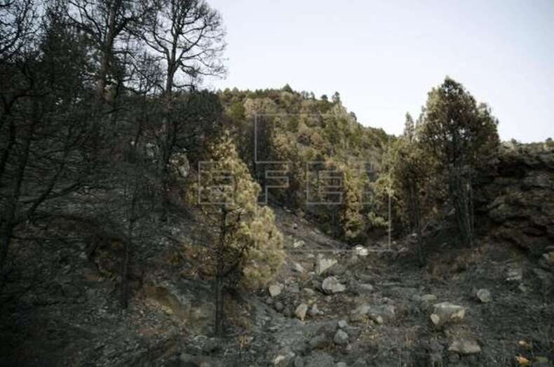 Imagen de archivo del Parque Natural de Cumbre Vieja (Foto EFE / Miguel Calero)